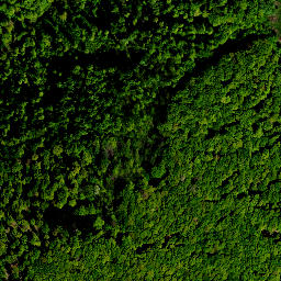 Satellite imagery of survey_point, PL