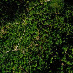 Satellite imagery of cairn, PL