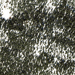 Satellite imagery of Mount Troubridge, CA