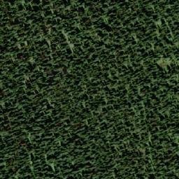 Satellite imagery of Gunwad Mountain, CA
