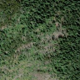 Satellite imagery of Insect Peak, CA