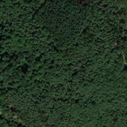 Satellite imagery of Heidelberg, DE