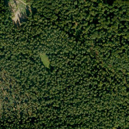 Satellite imagery of Mittelberg, DE