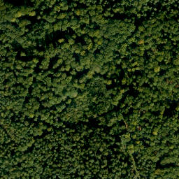 Satellite imagery of Mittelberg, DE
