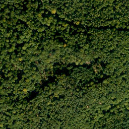 Satellite imagery of Mittelberg, DE