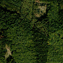 Satellite imagery of Kronberg, DE