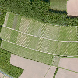 Satellite imagery of Tiefenthaler Berg, DE