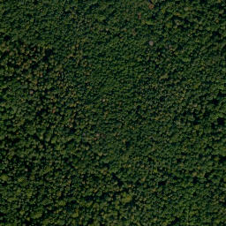 Satellite imagery of Mainberg, DE