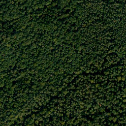 Satellite imagery of Mainberg, DE