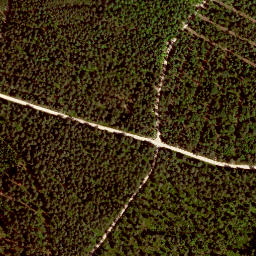 Satellite imagery of Kienbühl, DE