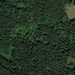 Satellite imagery of Plesný S [Hodonín u Nasavrk], CZ