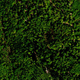 Satellite imagery of survey_point, PL