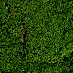 Satellite imagery of survey_point, PL