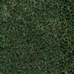 Satellite imagery of Gunwad Mountain, CA
