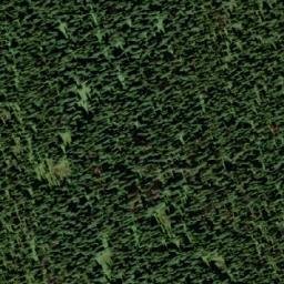 Satellite imagery of Gunwad Mountain, CA