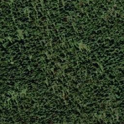 Satellite imagery of Gunwad Mountain, CA