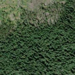 Satellite imagery of Insect Peak, CA
