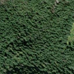 Satellite imagery of Insect Peak, CA