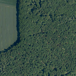 Satellite imagery of Rosenberg, DE