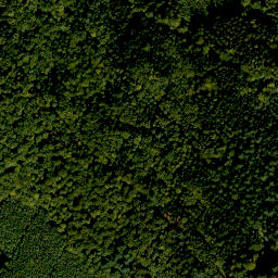 Satellite imagery of Hoher Berg, DE