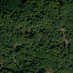 Satellite imagery of Schrappacher Berg, DE