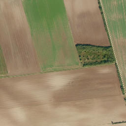 Satellite imagery of Schellenberg, DE