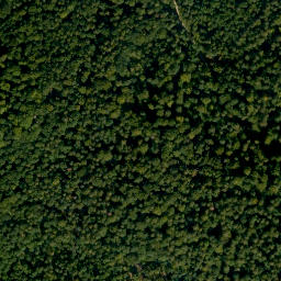 Satellite imagery of Mainberg, DE