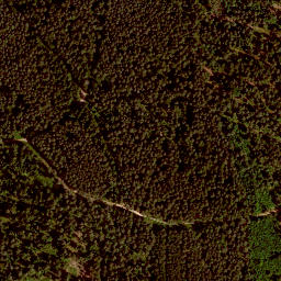 Satellite imagery of Kienbühl, DE