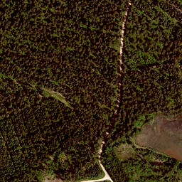 Satellite imagery of Kienbühl, DE