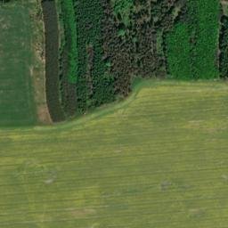 Satellite imagery of Třešňovka [Černošín], CZ
