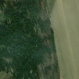 Satellite imagery of Ptačí vrch [Skřipov], CZ