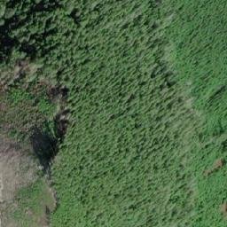 Satellite imagery of Mount Rosa, CA