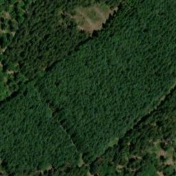 Satellite imagery of Steingerüttelkopf, DE