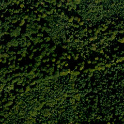 Satellite imagery of Spitzenstein, DE