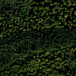 Satellite imagery of Spitzenstein, DE