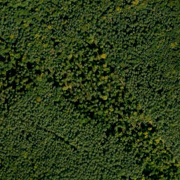 Satellite imagery of Langenrainberg, DE