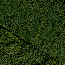 Satellite imagery of Hoher Berg, DE