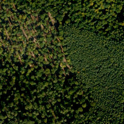 Satellite imagery of Nollberg, DE