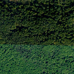 Satellite imagery of Steinachsberg, DE