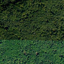 Satellite imagery of Steinachsberg, DE