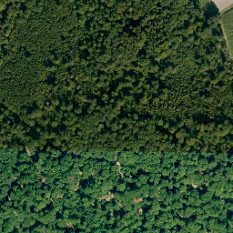 Satellite imagery of Steinachsberg, DE