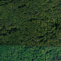 Satellite imagery of Schrappacher Berg, DE