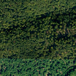 Satellite imagery of Schrappacher Berg, DE