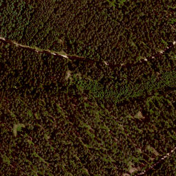 Satellite imagery of Rehbühl, DE