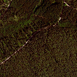 Satellite imagery of Rehbühl, DE