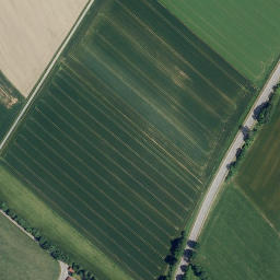 Satellite imagery of Der Bühl, DE