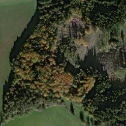 Satellite imagery of Čihadlo [Bor-Damnov], CZ