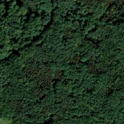 Satellite imagery of (Butovický les) [Ostrava-Bartovice], CZ