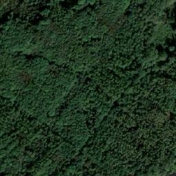 Satellite imagery of (Butovický les) [Ostrava-Bartovice], CZ