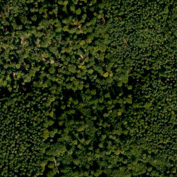 Satellite imagery of Nollberg, DE